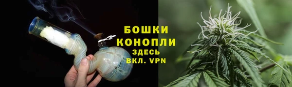 гидра Анива