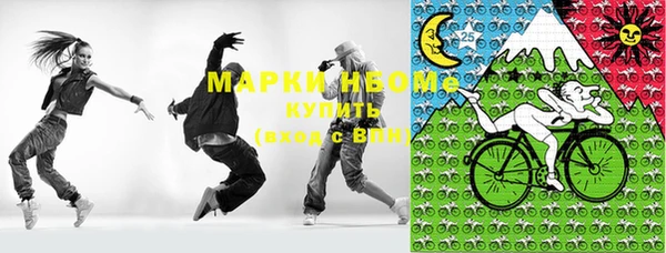 индика Анжеро-Судженск