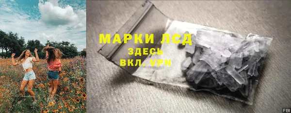 гидра Анива