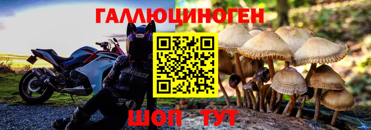Арсеньев  Галлюциногенные грибы Psilocybe  хочу   Галлюциногенные грибы ЛСД  Вход с VPN 